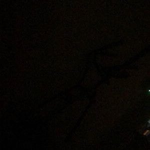 Meet your Posher, Fior